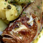 Delicious fresh fish